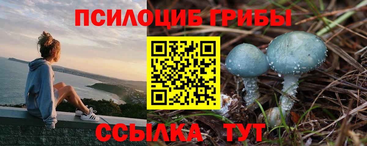 Галлюциногенные грибы Magic Shrooms  Галлюциногенные грибы MAGIC MUSHROOMS  цены   Дмитров  Вход с VPN 