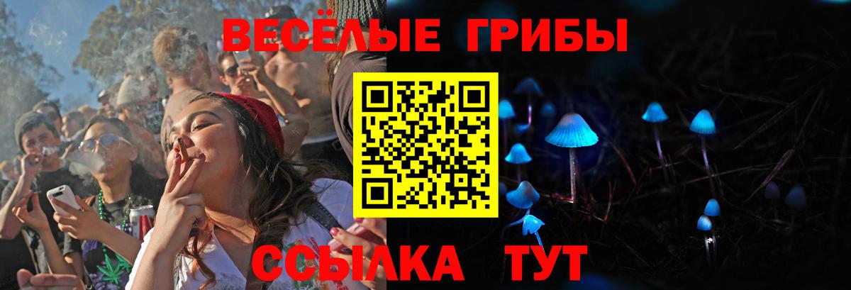 Галлюциногенные грибы ЛСД Дмитров